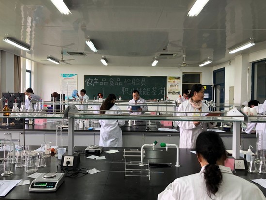 粮油检验技术,粮油检验技术课程论文
