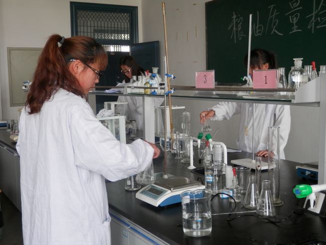 粮油检验技术,粮油检验技术课程论文